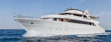 M/Y Golden Dolphin II